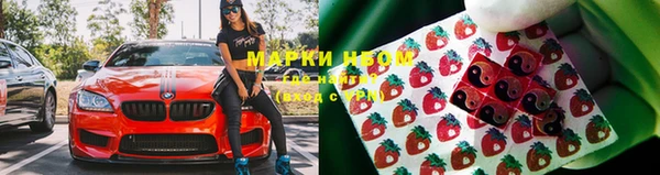 мдпв Козельск