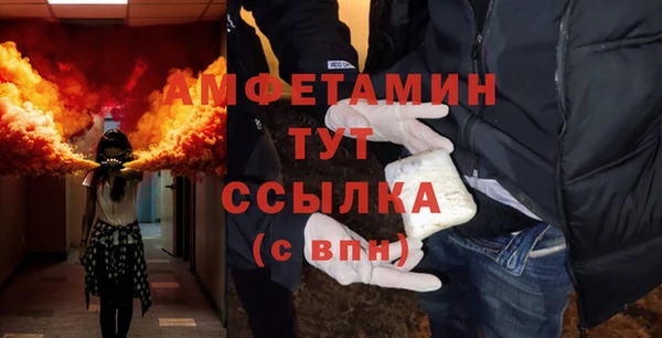 мдпв Козельск