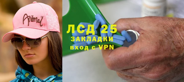 хмурый Кодинск