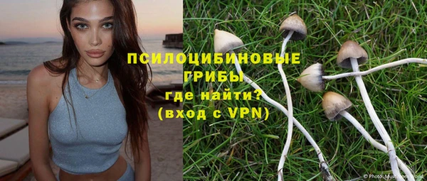 мдпв Козельск