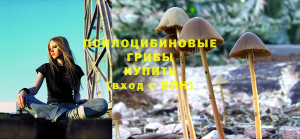 mdpv Кинешма