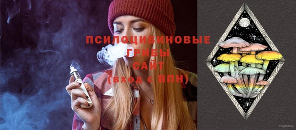 Альфа ПВП Костерёво
