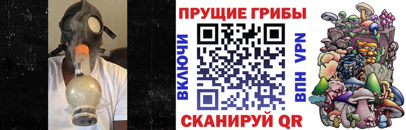 Псилоцибиновые грибы Psilocybine cubensis  MEGA tor  Колпашево 